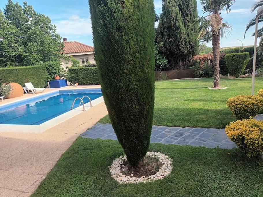 ארויומולינוס Madrid City Modern Apartment In Villa, Free Wifi מראה חיצוני תמונה