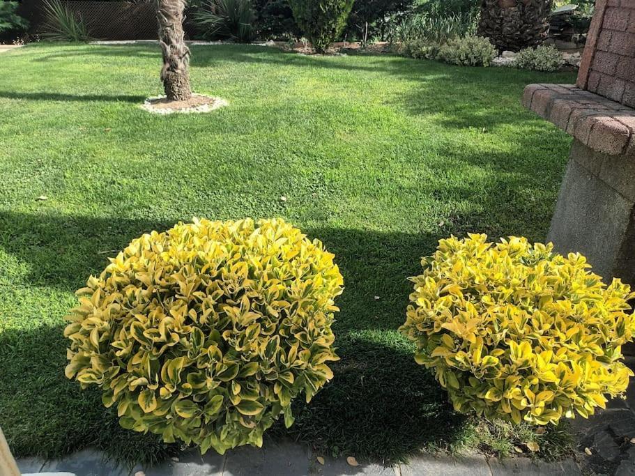 ארויומולינוס Madrid City Modern Apartment In Villa, Free Wifi מראה חיצוני תמונה